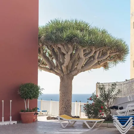 Apartamento San Agustín *